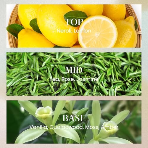 MSENSE 1014 Oz Large Reed Diffuser Set Hotel Collection Non-Toxic Essential Oil Diffuser