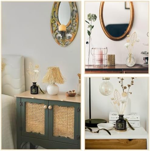 Catephe Reed Diffuser Sticks Set 12 Pcs Natural Rattan Home Decor