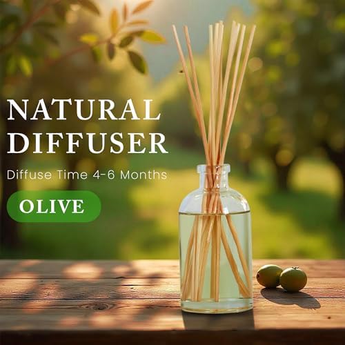 Hillhouse Naturals Olive Scent Reed Diffuser Set