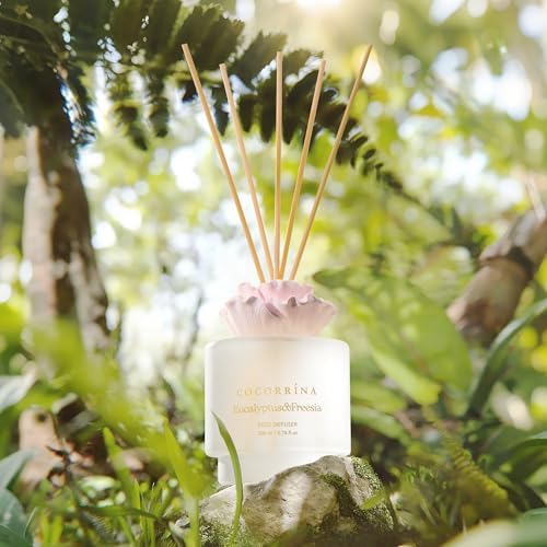 Cocorrina Gypsum Flower Diffuser Set Eucalyptus Freesia Scent