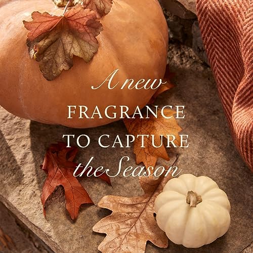 Thymes Petite Oil Reed Diffuser Set - Burnt Orange Fall Fragrance