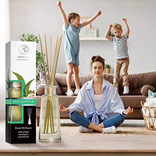 Eucalyptus Reed Diffuser 34 Fl Oz for Home Fragrance