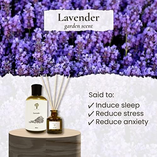 Pristine Lavender Dream Reed Diffuser Set