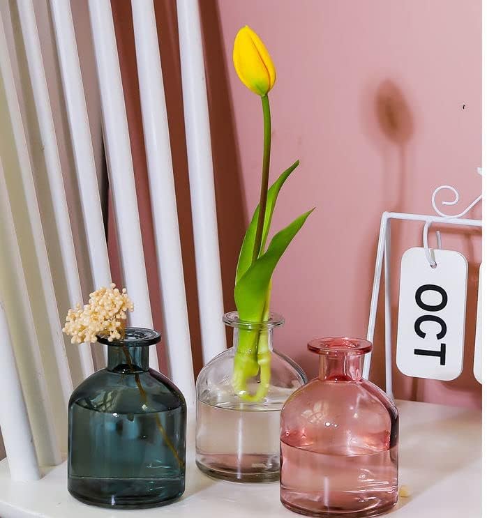 1Pcs Glass Aromatherapy Diffuser Bottle Blue