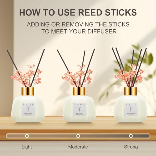 Sage Hotel Reed Diffuser - Bergamot White Tea Scent