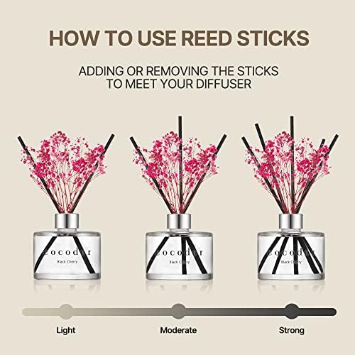 Cocodor Preserved Rose Reed Diffuser Set 67oz