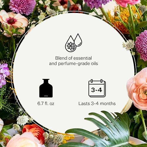 APOTHEKE White Vetiver Reed Diffuser Refill Set with 8 Sticks