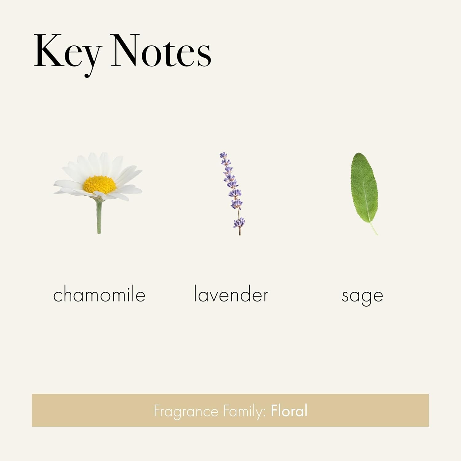 LAFCO New York Classic Reed Diffuser Chamomile Lavender 6 oz