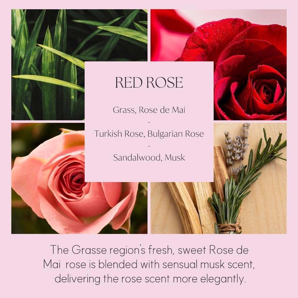 396 St Dahlia Flower Reed Diffuser Set - Black Cherry 200ml