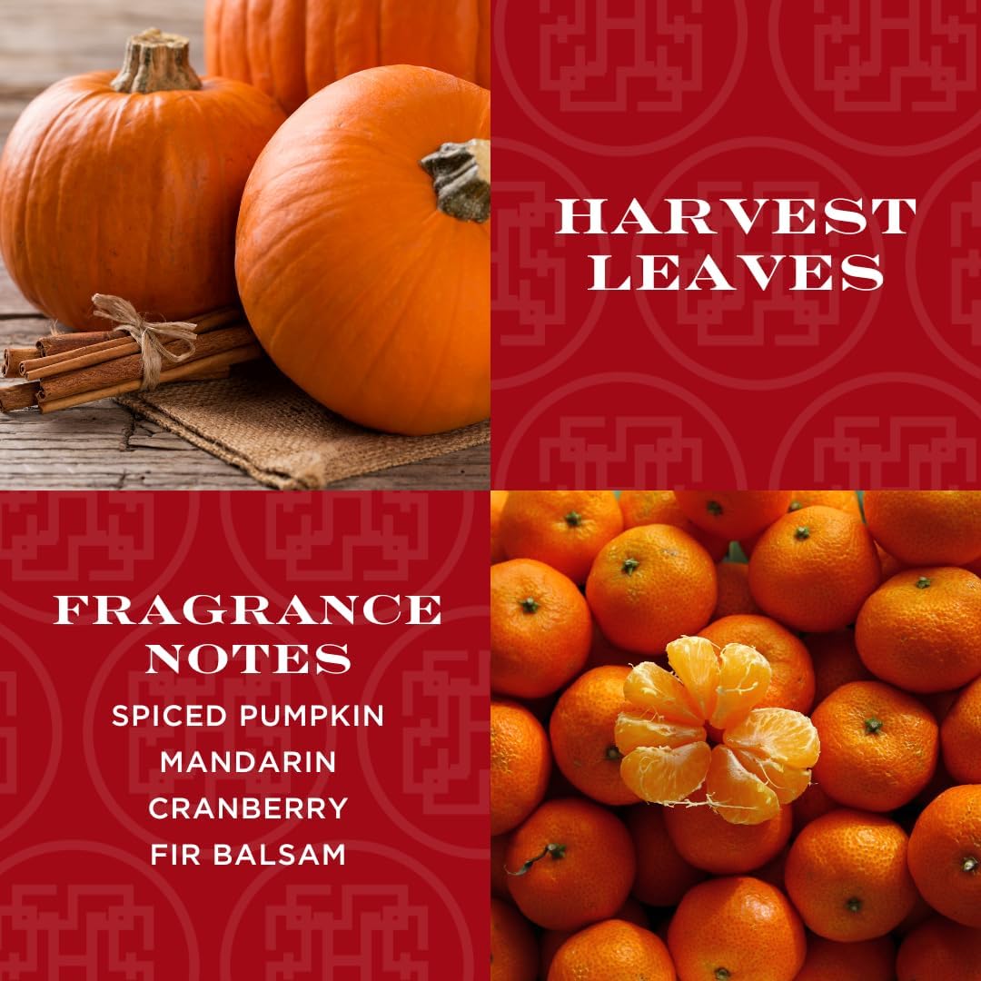 HomeWorx by SLATKIN CO Harvest Leaves Reed Diffuser Set