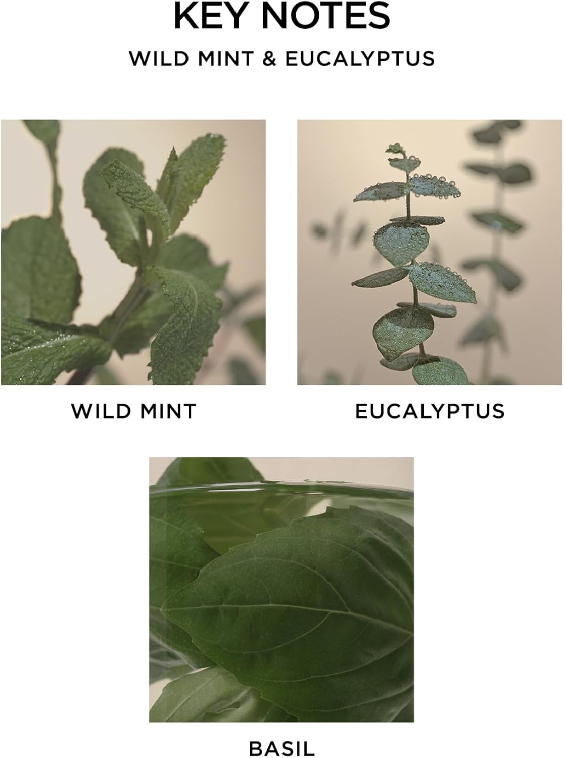NEST New York Wild Mint Eucalyptus Bundle