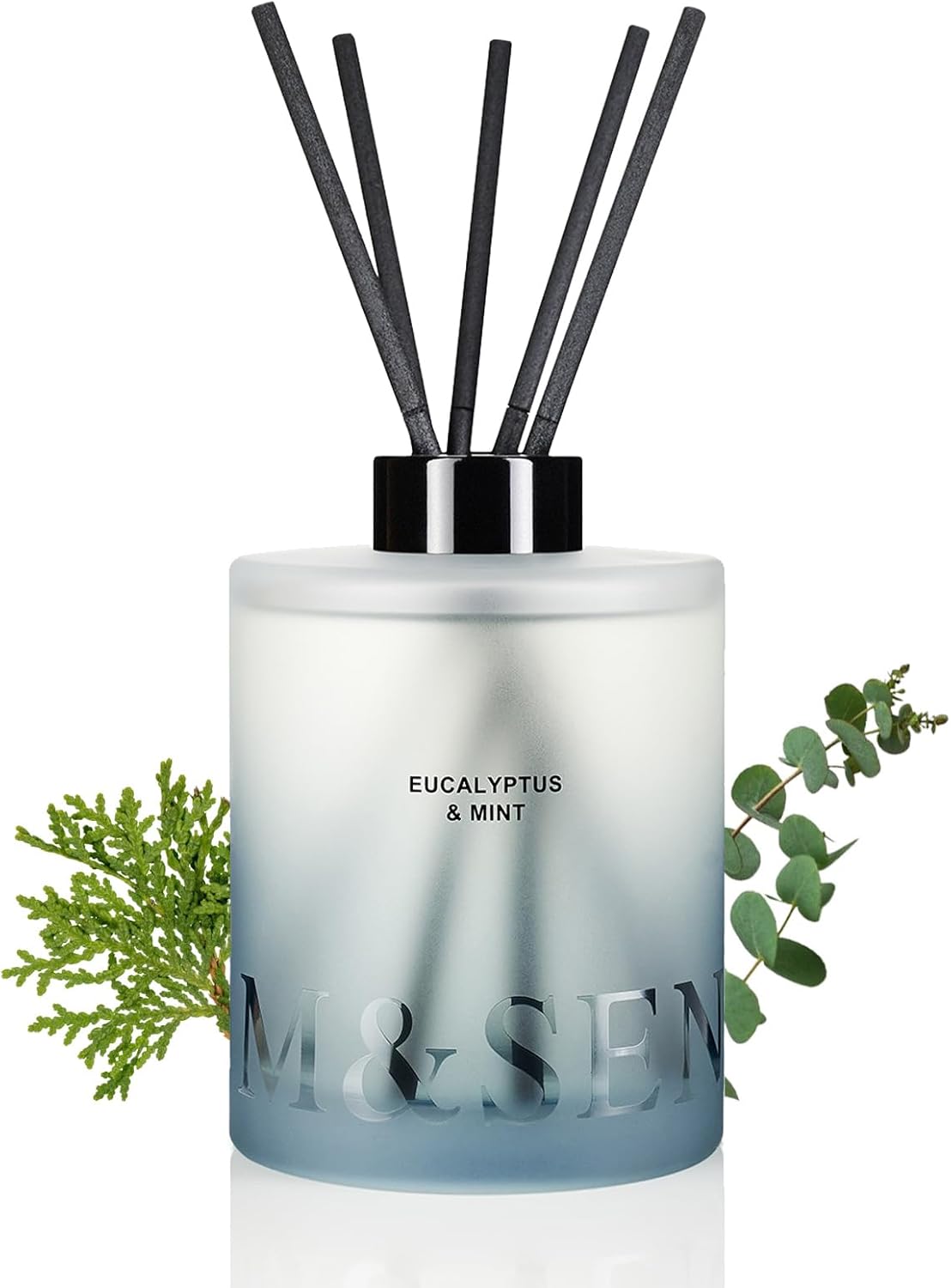 MSENSE Eucalyptus Mint Reed Diffuser Set