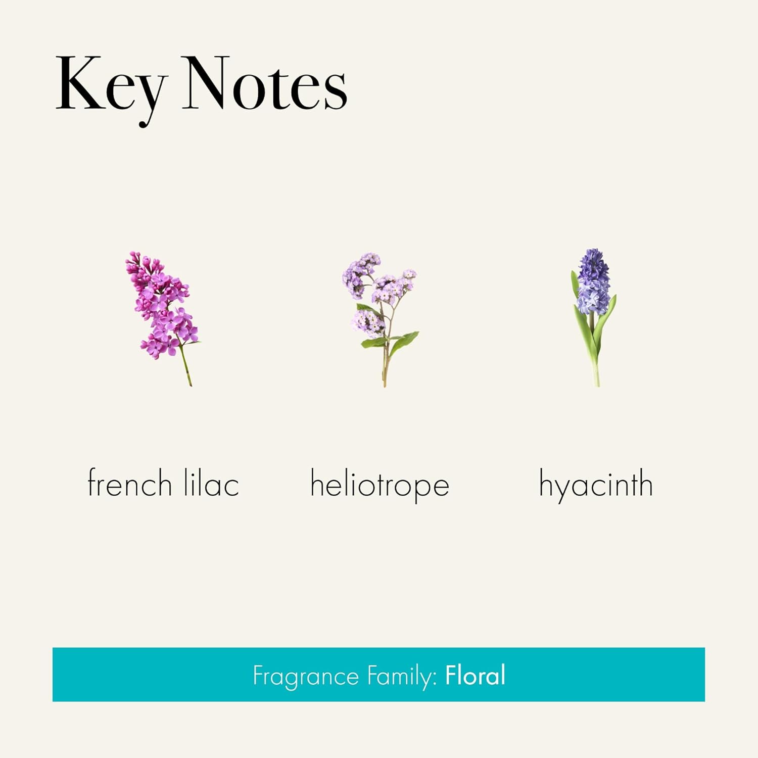 LAFCO New York Reed Diffuser Refill - French Lilac 84 oz