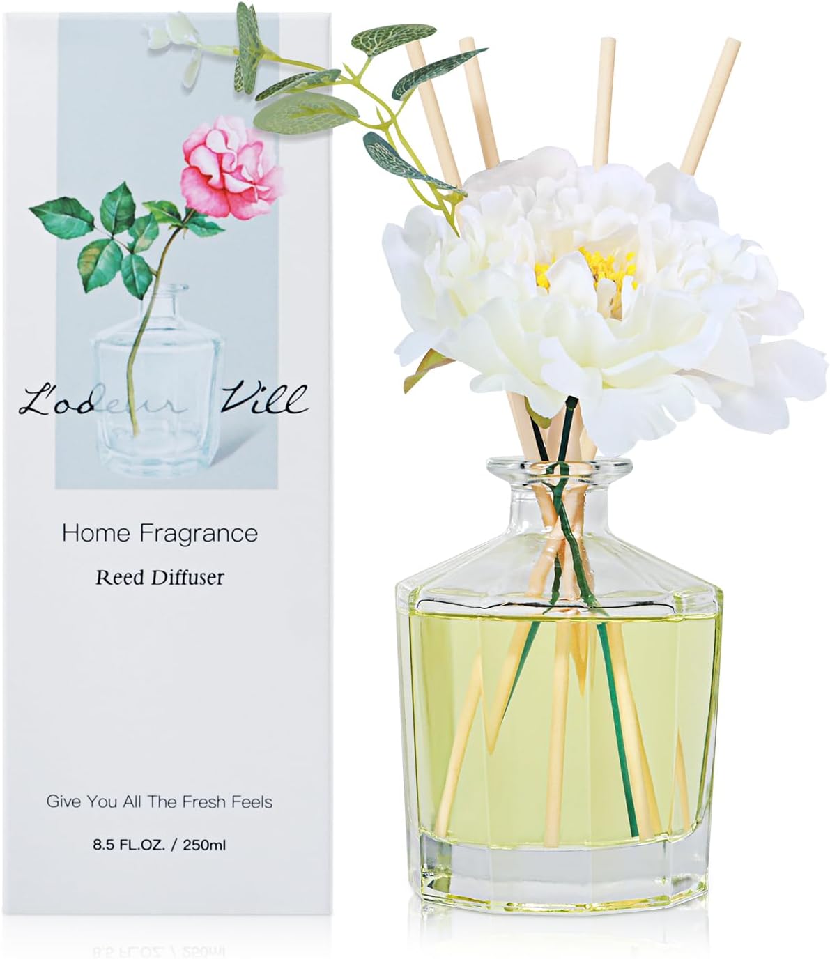 Lodeur Vill Jasmine White Tea Reed Diffuser Set