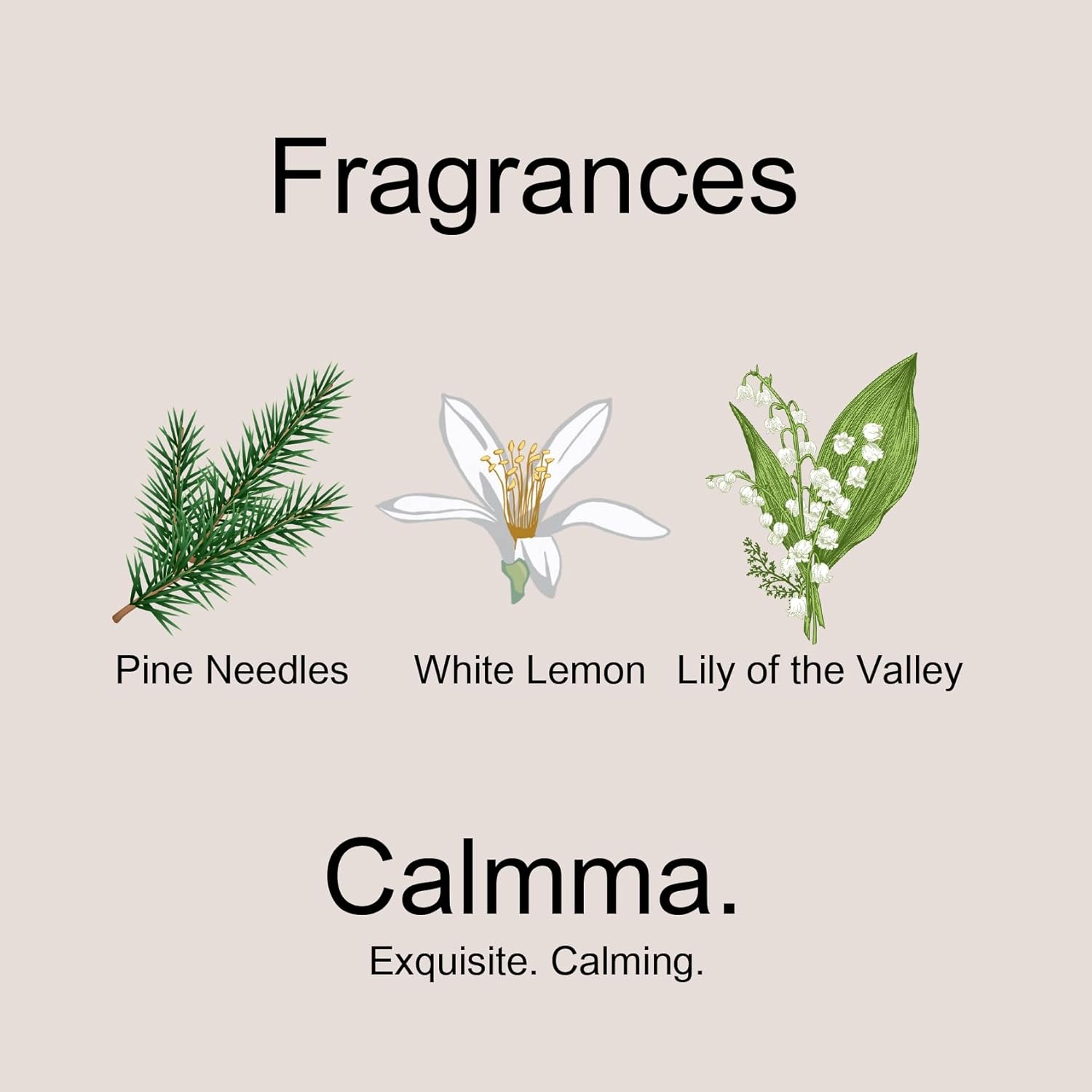 Aroma Scented Oil Diffuser Set with Refills and Sticks