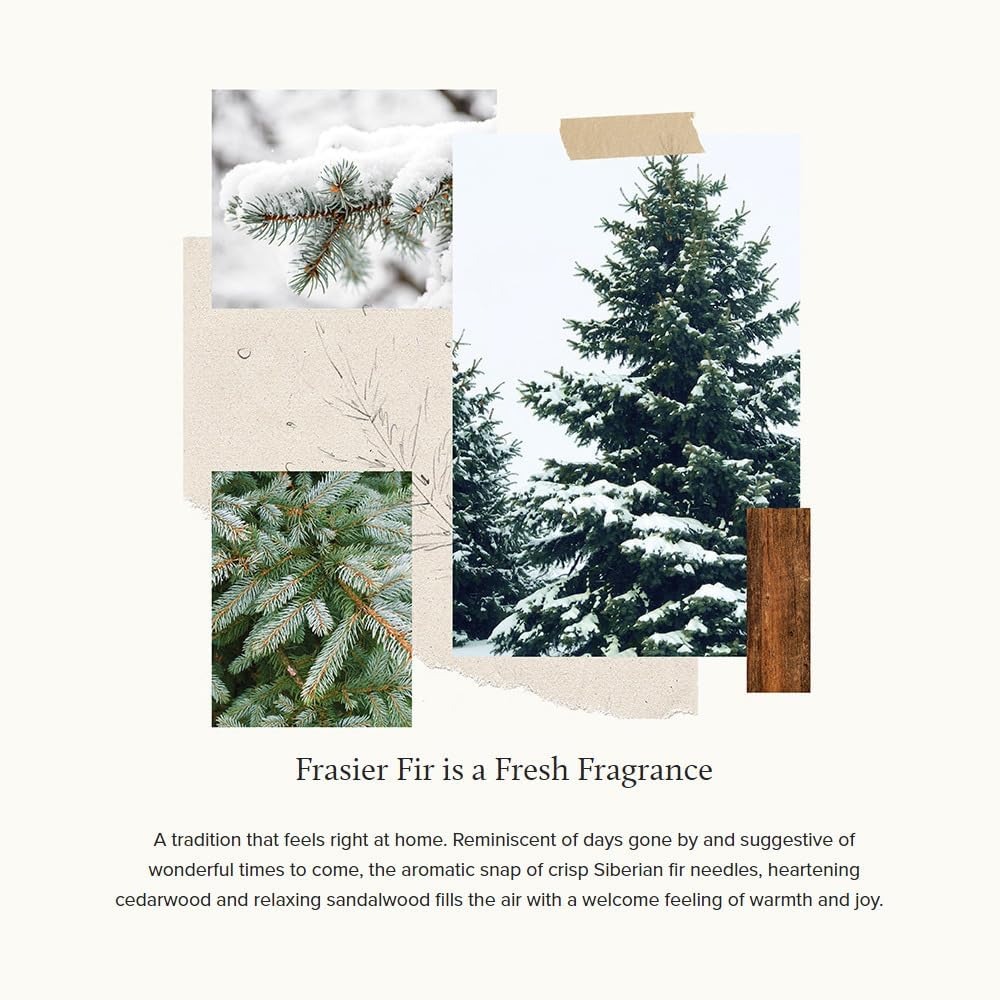 Thymes Frasier Fir Reed Diffuser Set - 4 Fl Oz Gold