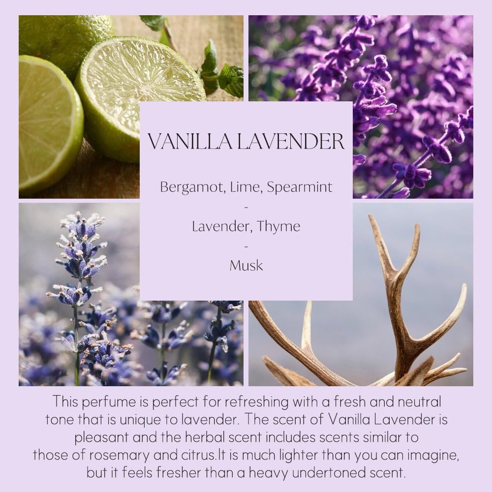 396 St Preserved Babys Breath Reed Diffuser Set Vanilla Lavender