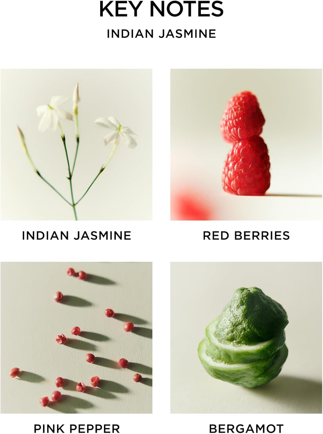 NEST New York Reed Diffuser - Indian Jasmine 59 fl oz
