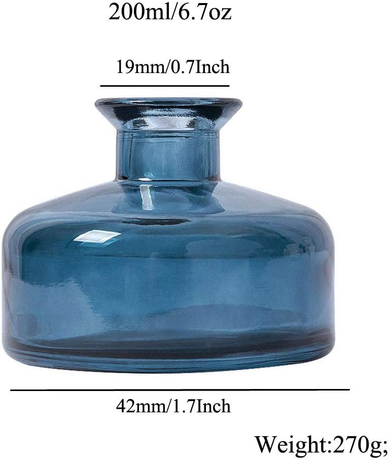 1PCS Glass Diffuser Bottle for Aromatherapy DIY Replacement Set