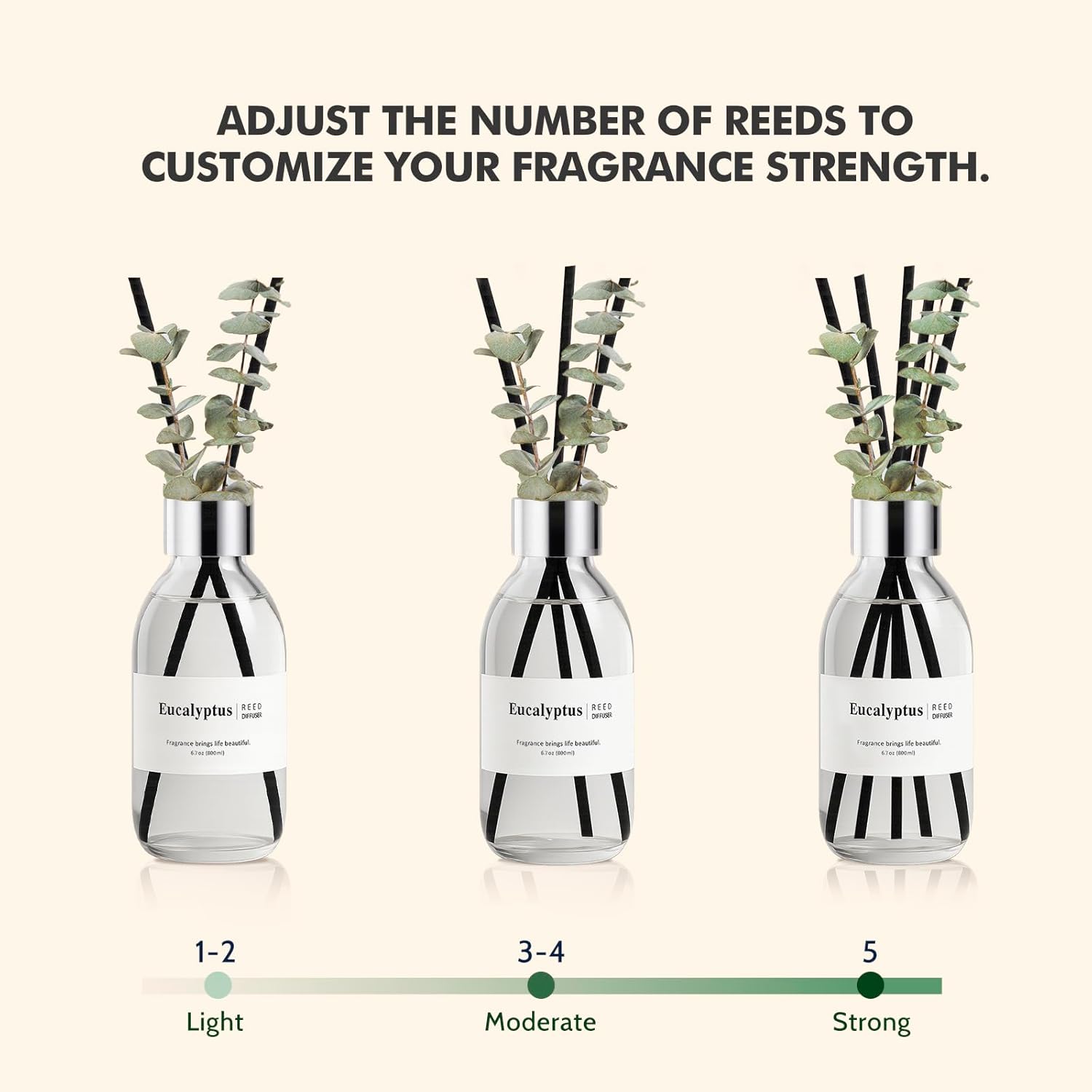 CLESH Eucalyptus Reed Diffuser Set
