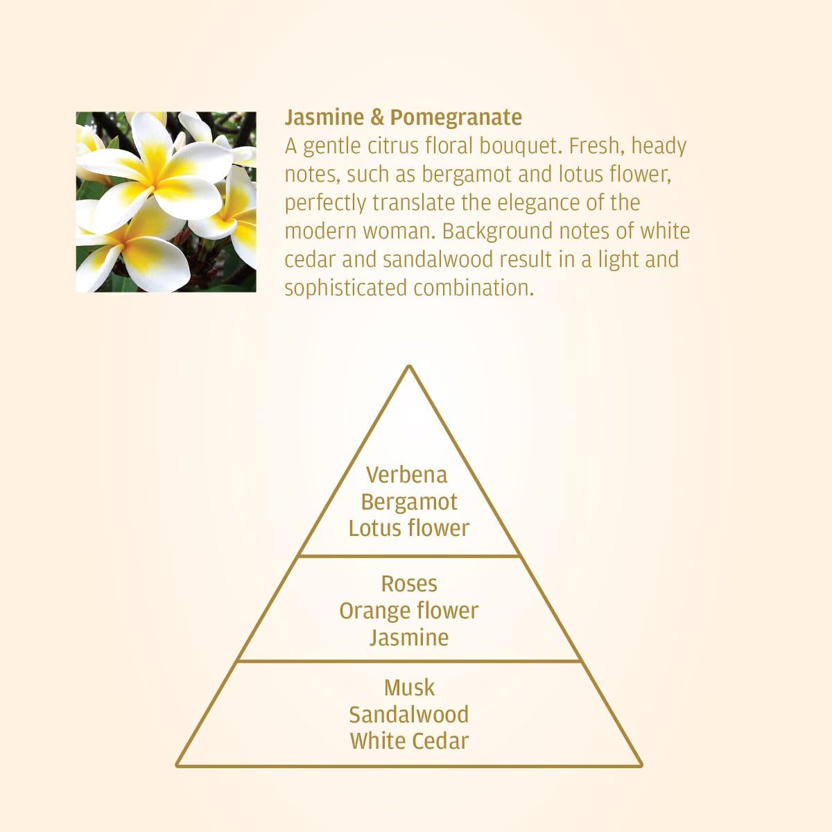 Premium Reed Diffuser Oil Refill Jasmine Pomegranate 169 FL OZ by Acqua Aroma