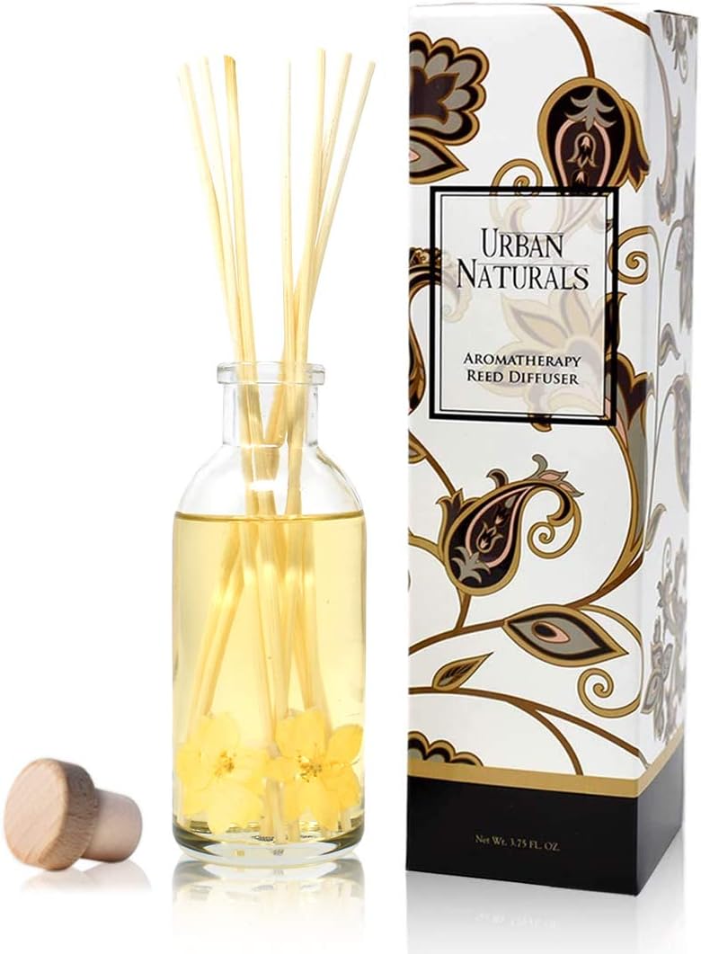 Urban Naturals Vanilla Orchid and Almond Reed Diffuser Set