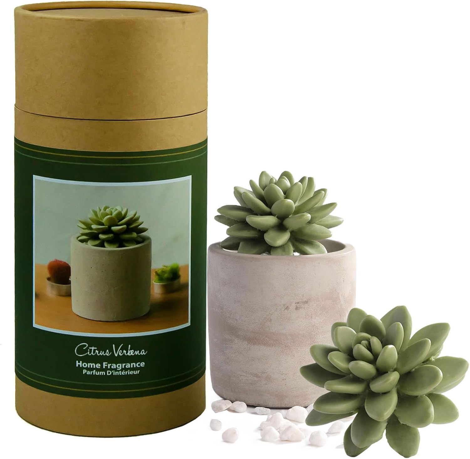 Pretty Valley Home Reed Diffuser Set with Succulent