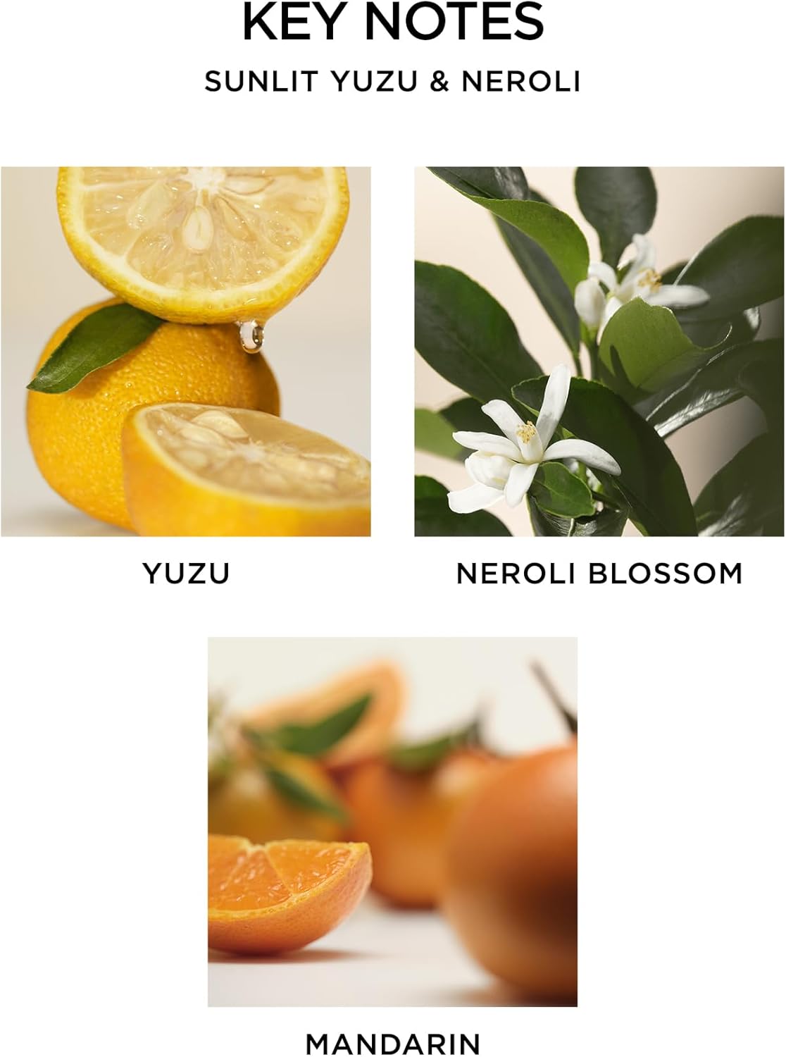 NEST New York Reed Diffuser Wellness Bundle