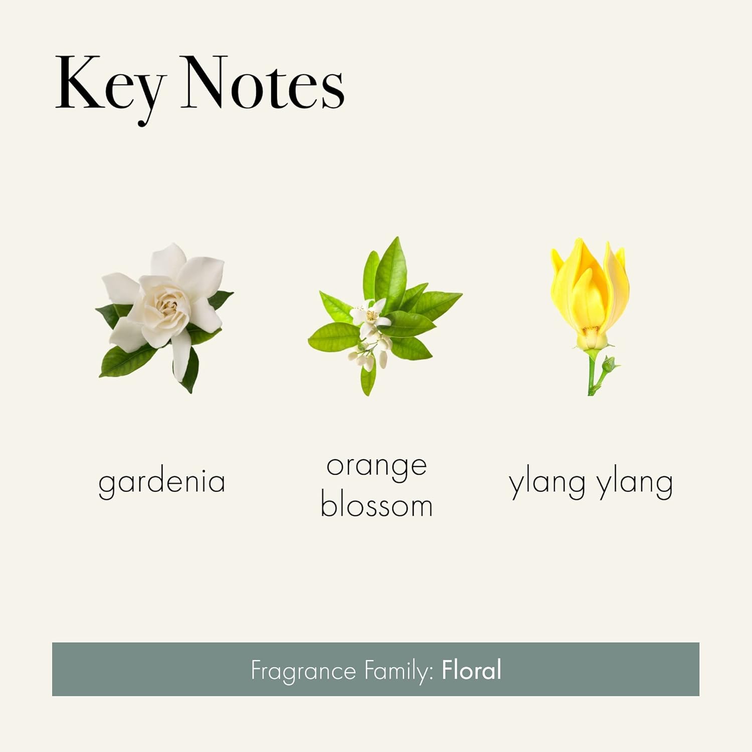 LAFCO New York Signature Reed Diffuser Fresh Cut Gardenia 15 oz