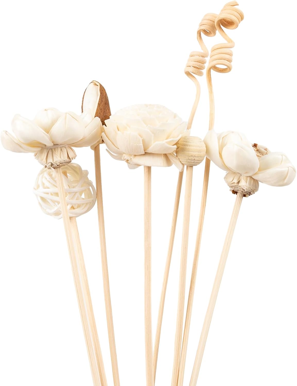 LOOGOOL 5Pcs Chinese Rose Reed Diffuser Set