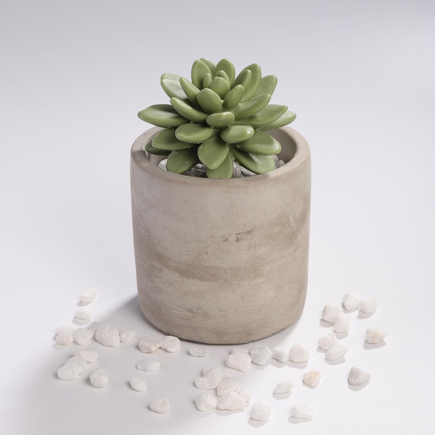 Pretty Valley Home Reed Diffuser Set with Succulent