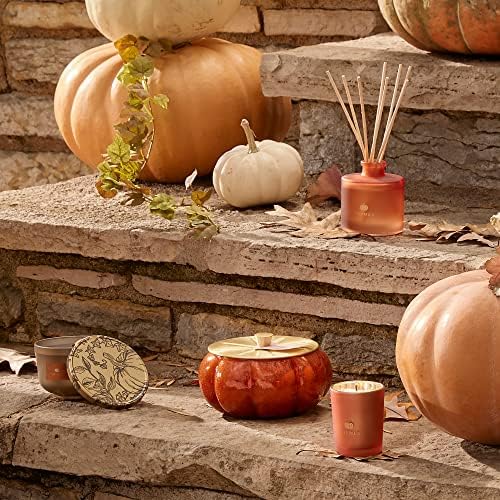 Thymes Petite Oil Reed Diffuser Set - Burnt Orange Fall Fragrance