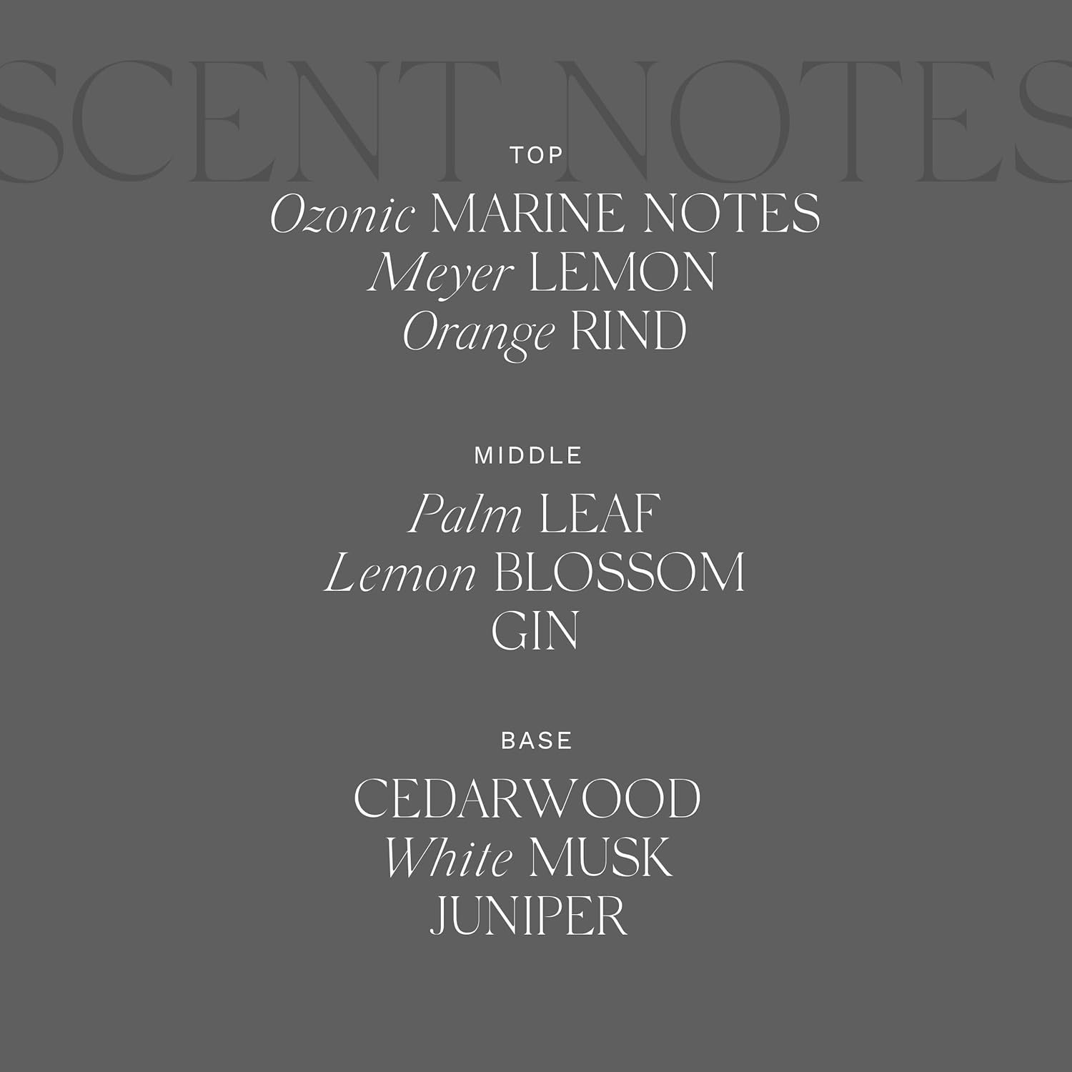 Antica Farmacista Wave Fragrance Bundle