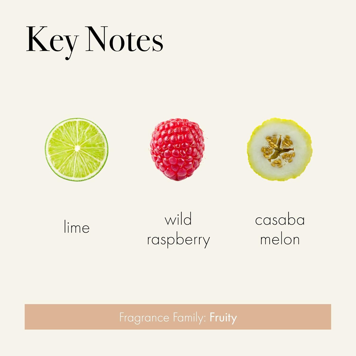 LAFCO New York Classic Reed Diffuser Paloma Melon 6 oz