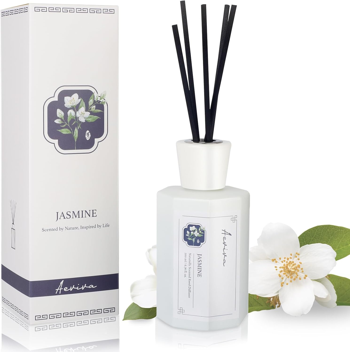 Aeviva Jasmine Reed Diffuser Set 676 Fl Oz