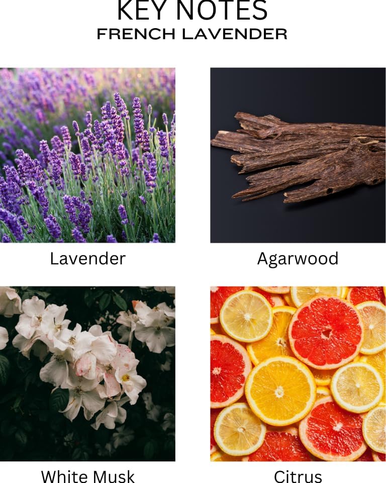PEANAK Reed Diffuser Set - French Lavender Preserved Flowers 200ml