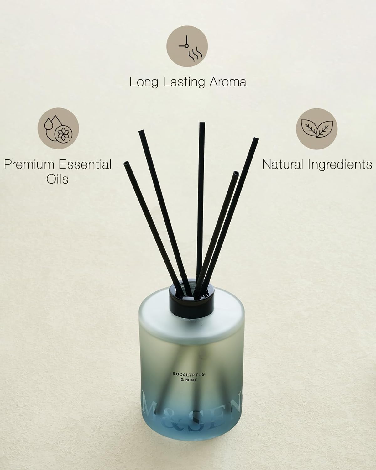 MSENSE Eucalyptus Mint Reed Diffuser Set