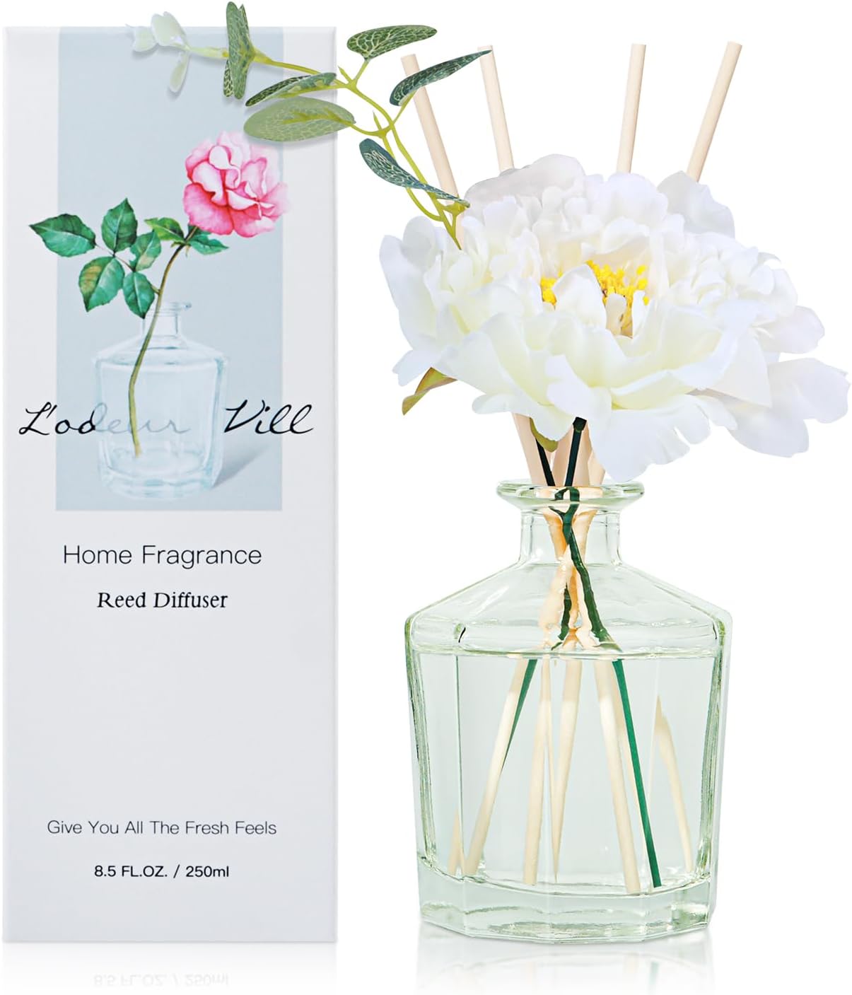 Lodeur Vill Vanilla Reed Diffuser Set