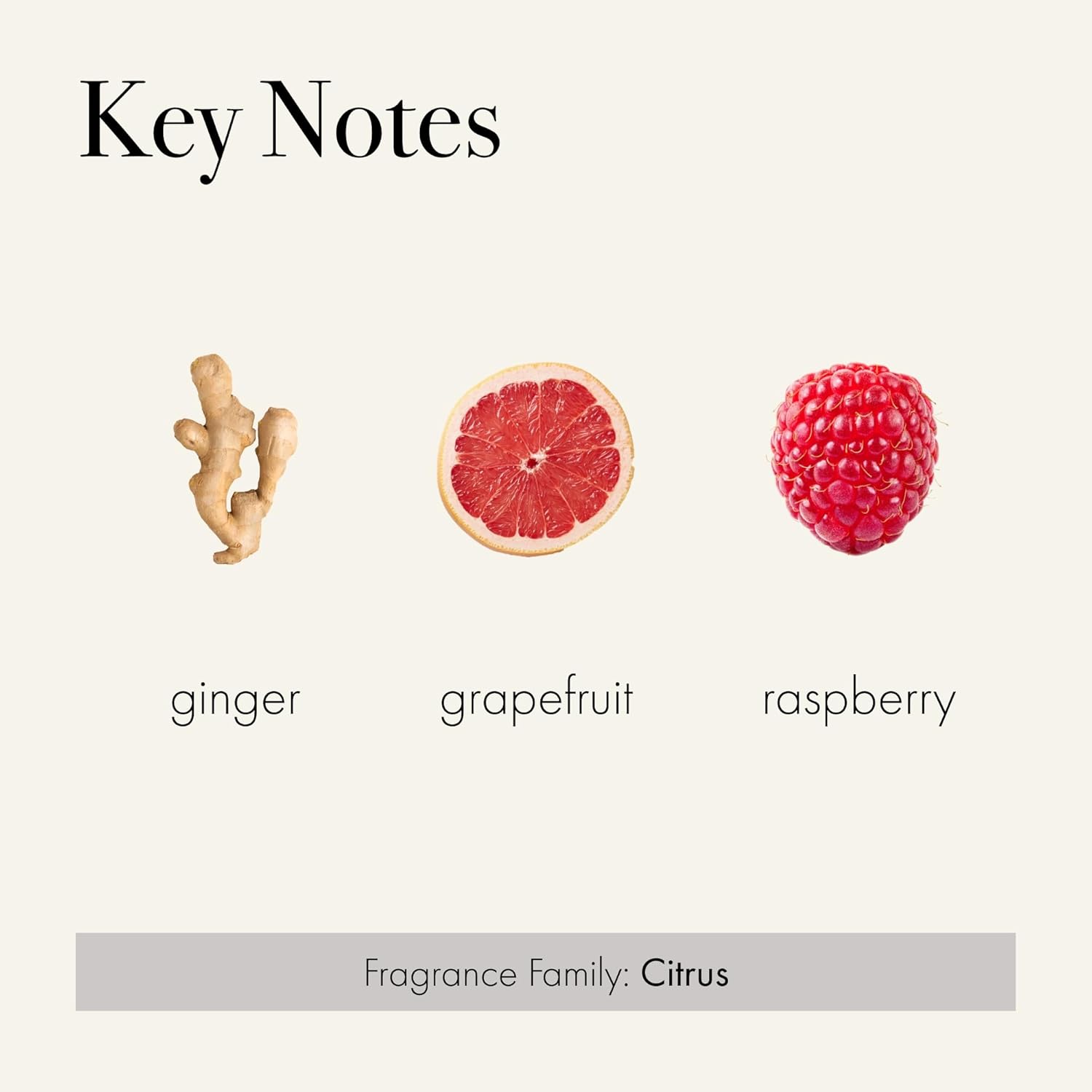 LAFCO New York Classic Reed Diffuser Champagne
