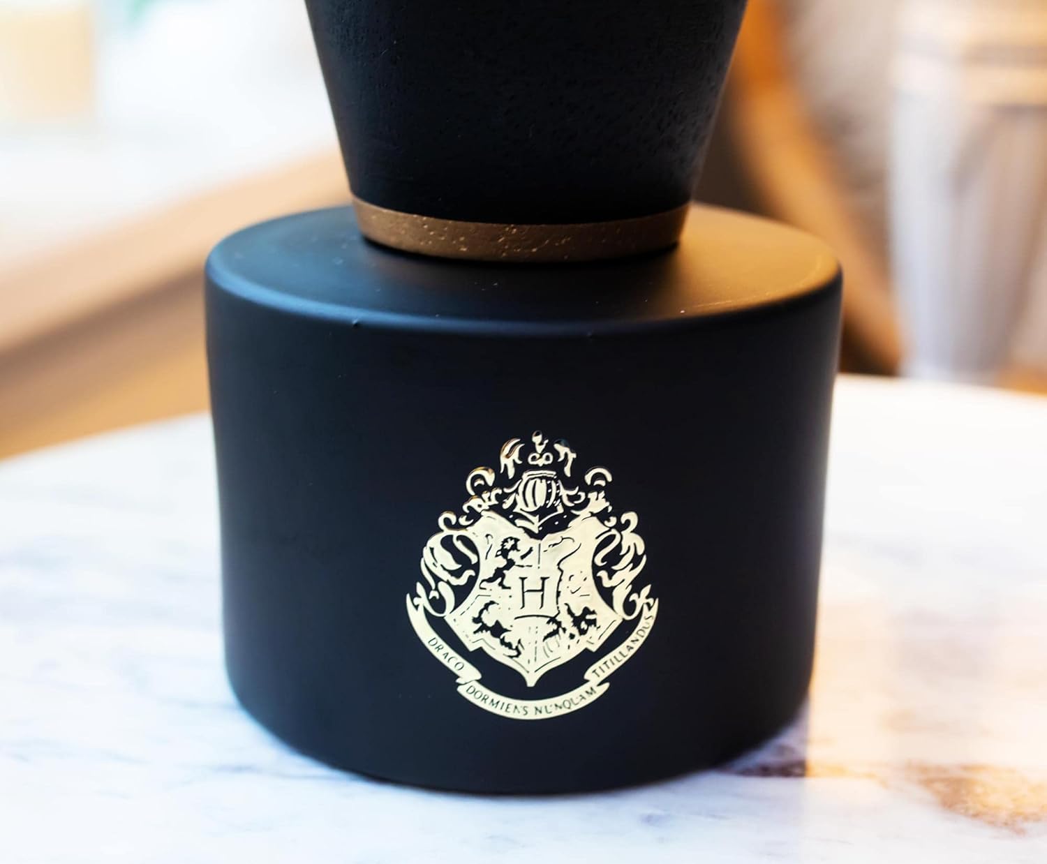 Harry Potter Ceramic Inkwell Reed Diffuser Set