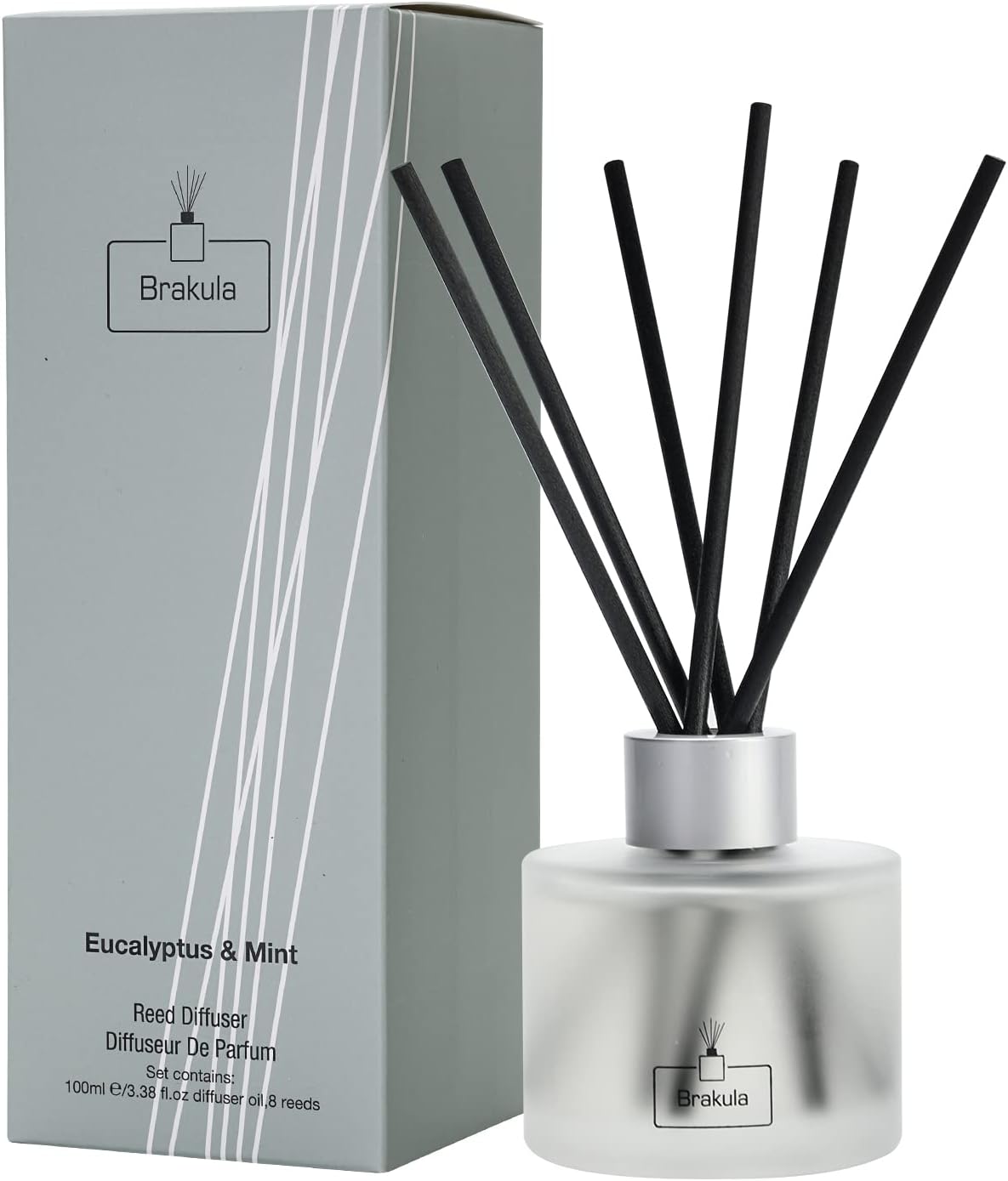 Brakula Eucalyptus Mint Reed Diffuser Set with 8 Sticks
