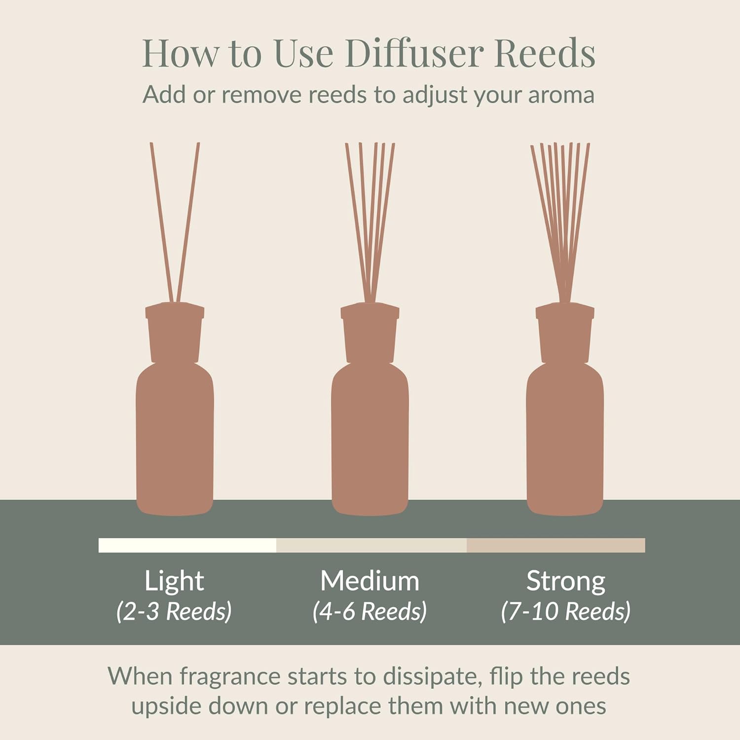 Archipelago Botanicals Lavande Reed Diffuser Set
