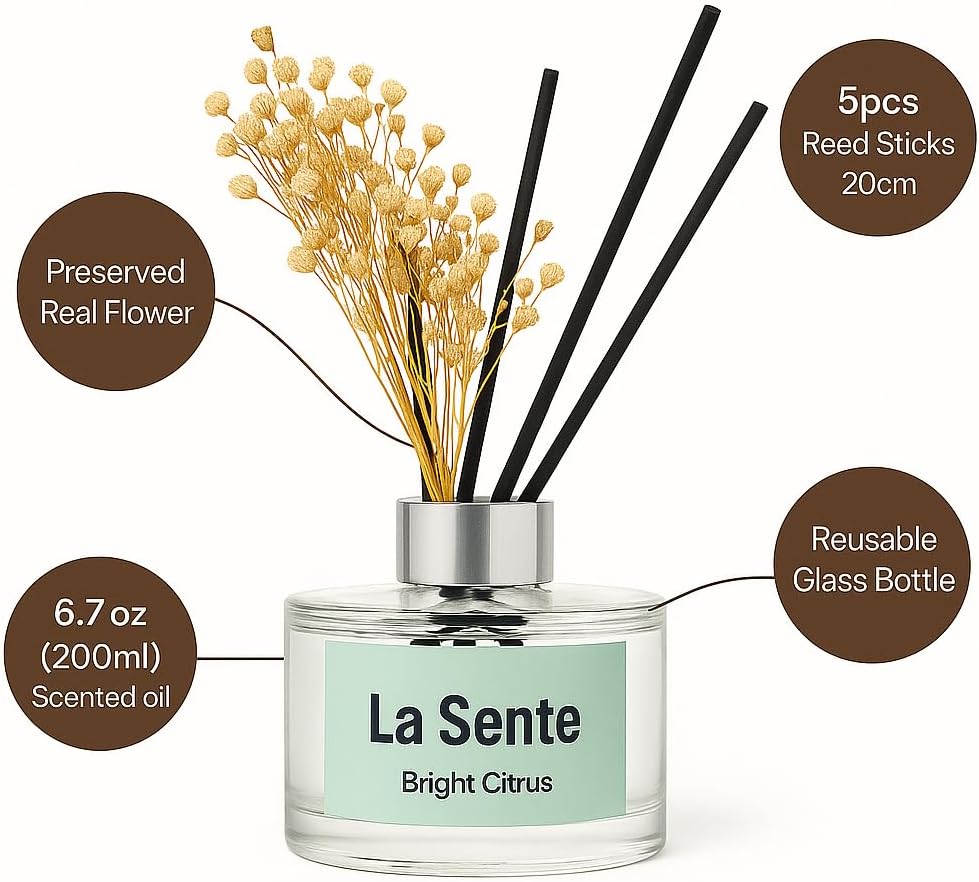 Citrus Reed Diffuser Set with Glass Bottle and Black Reeds