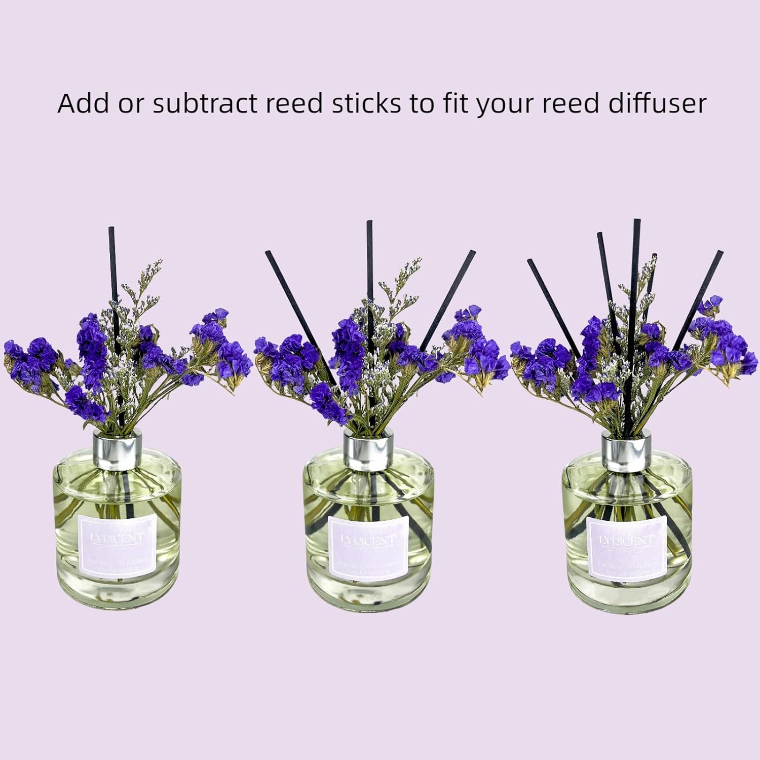 Lyricent Reed Diffuser Set with Eucalyptus Lavender Oil