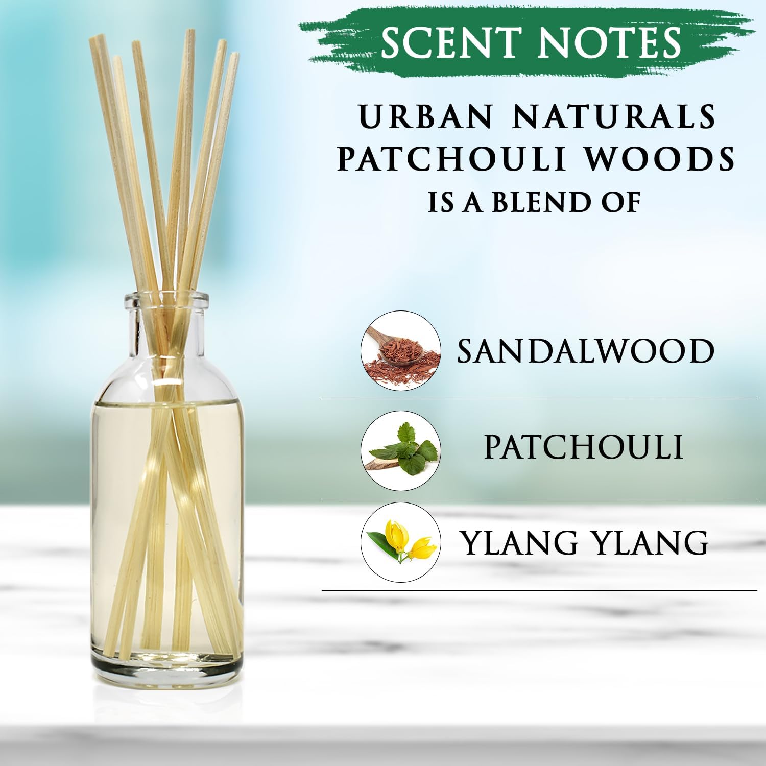 Urban Naturals Patchouli Woods Reed Diffuser Set