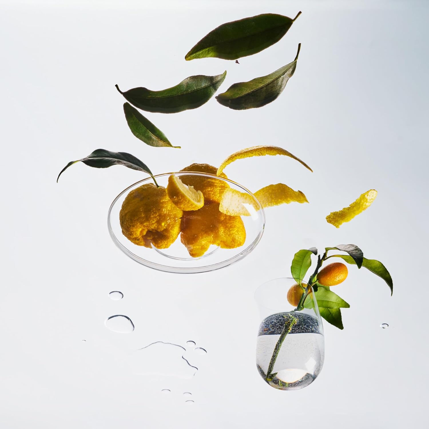 EMME NYC 6 oz Yuzu Scented Reed Diffuser for Home Decor