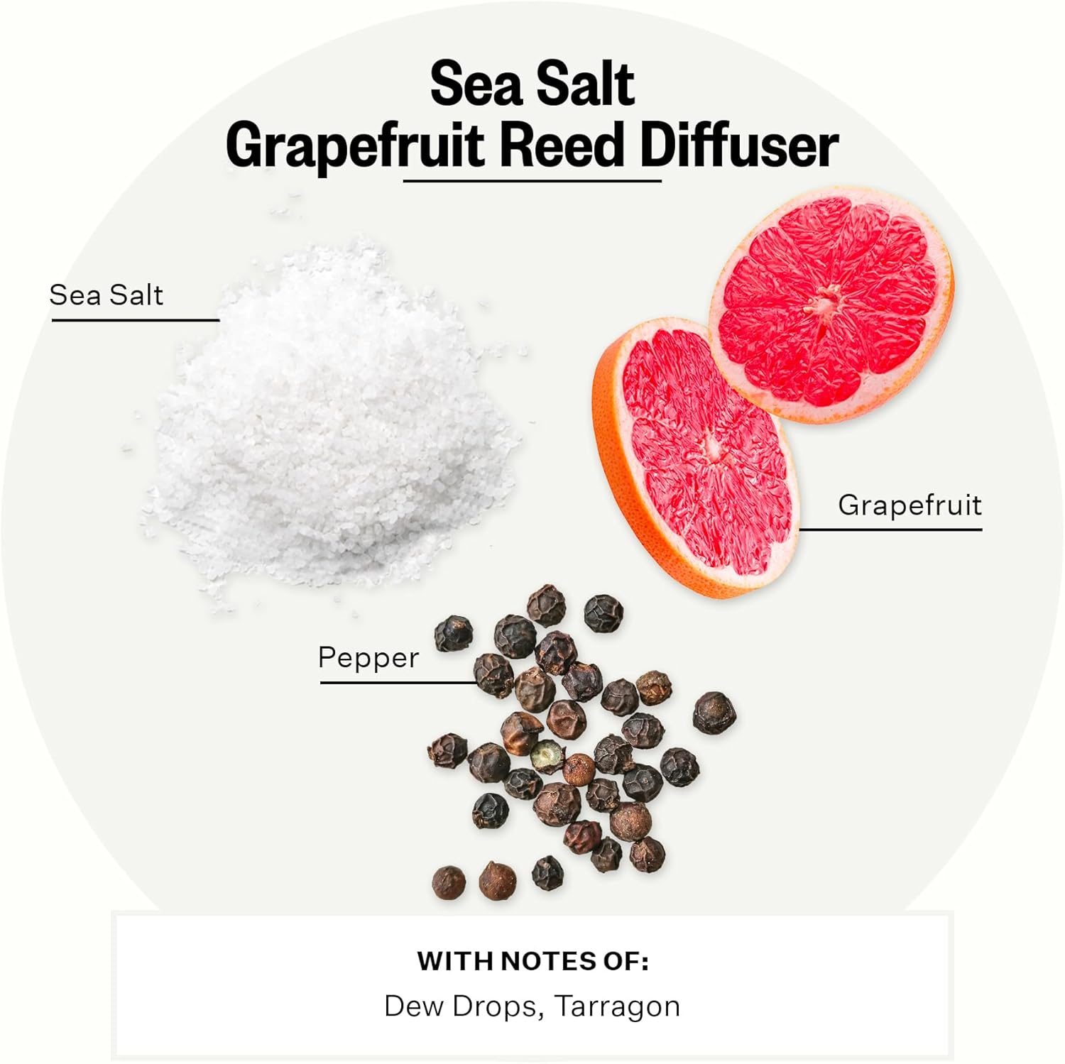 Apotheke Sea Salt Grapefruit Reed Diffuser 67 Fl Oz