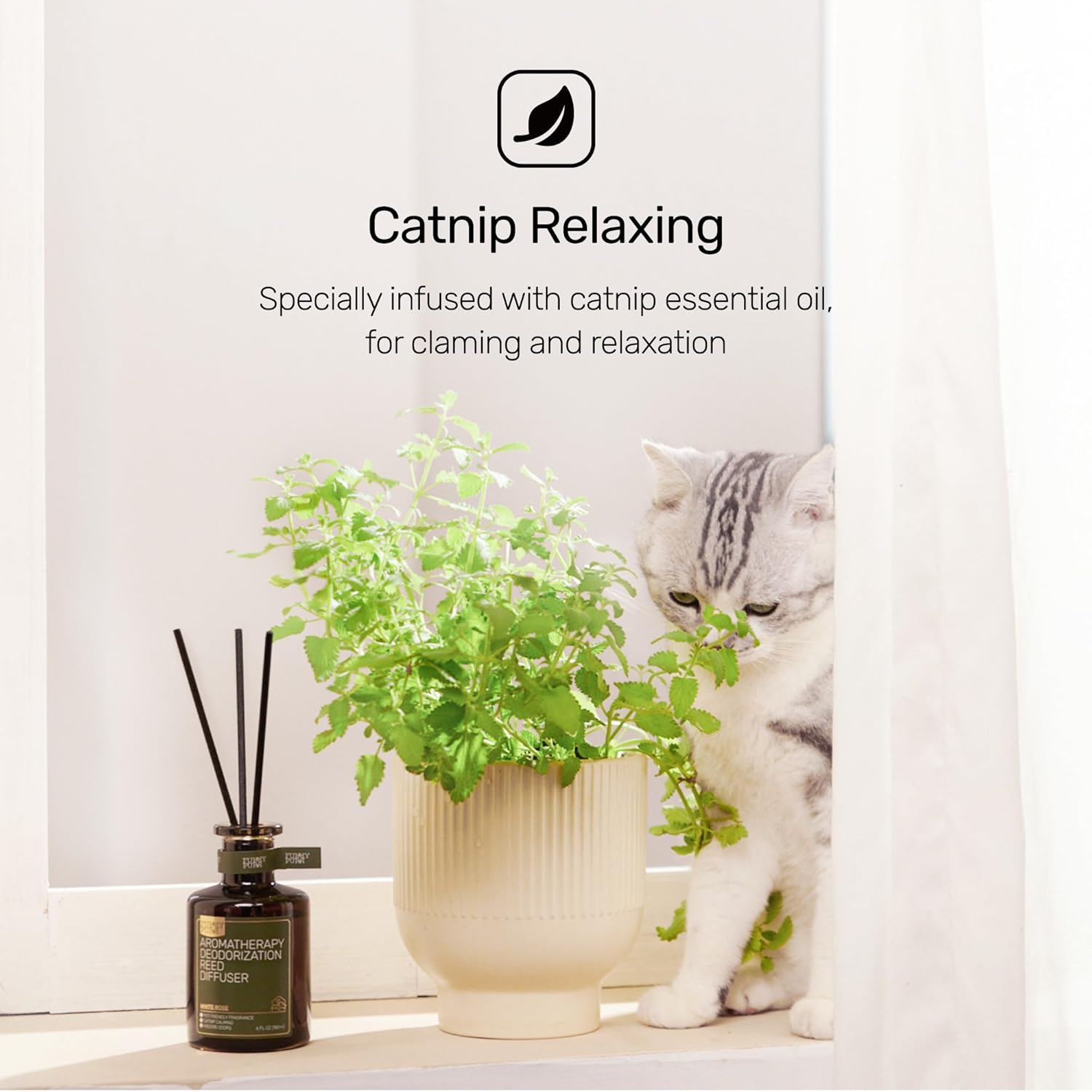 Furrypurr Reed Diffuser Pet Odor Elimination Lily of the Valley 6 Oz