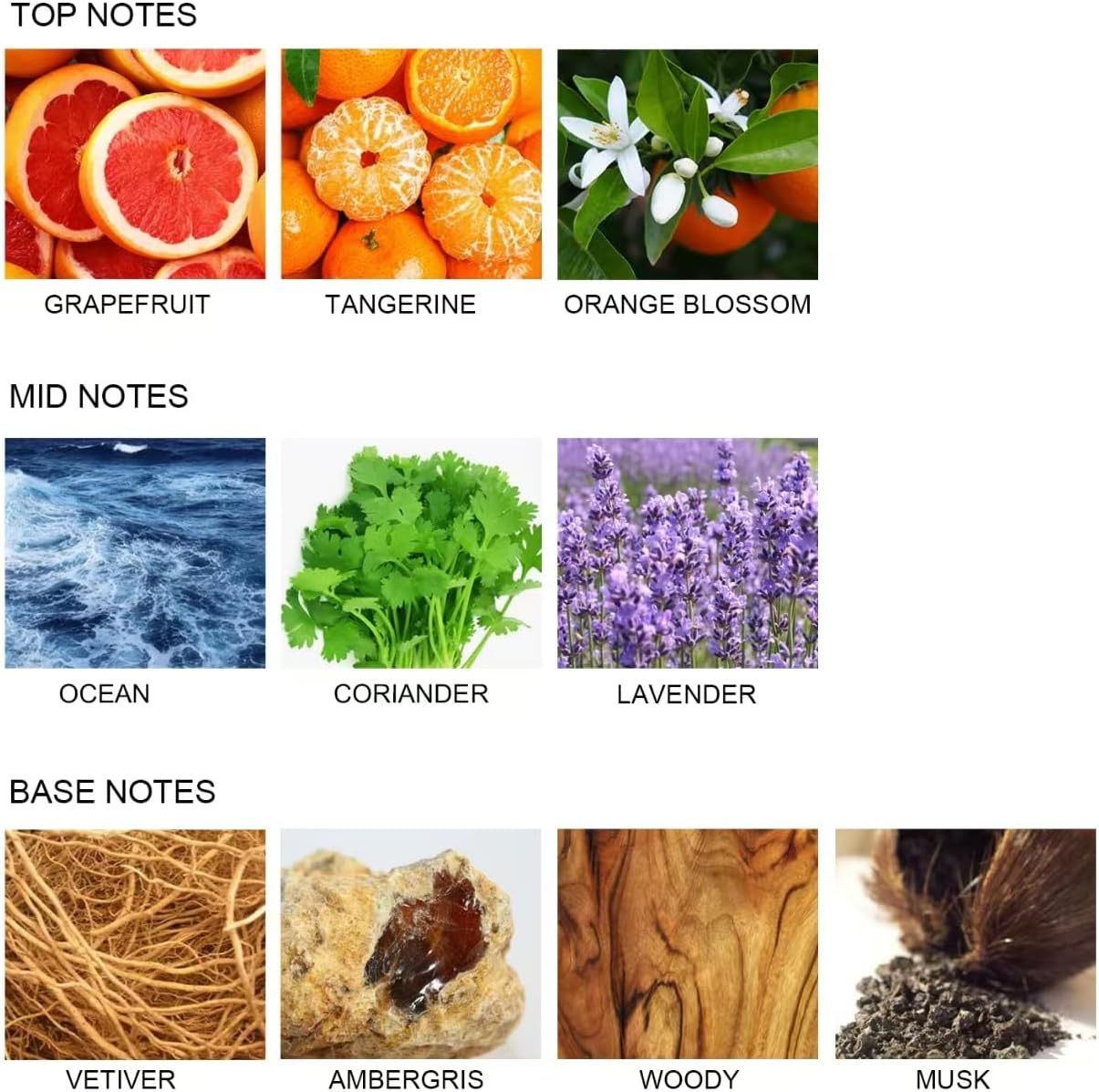 UCC Reed Diffuser Set for Passionate Dating Scent