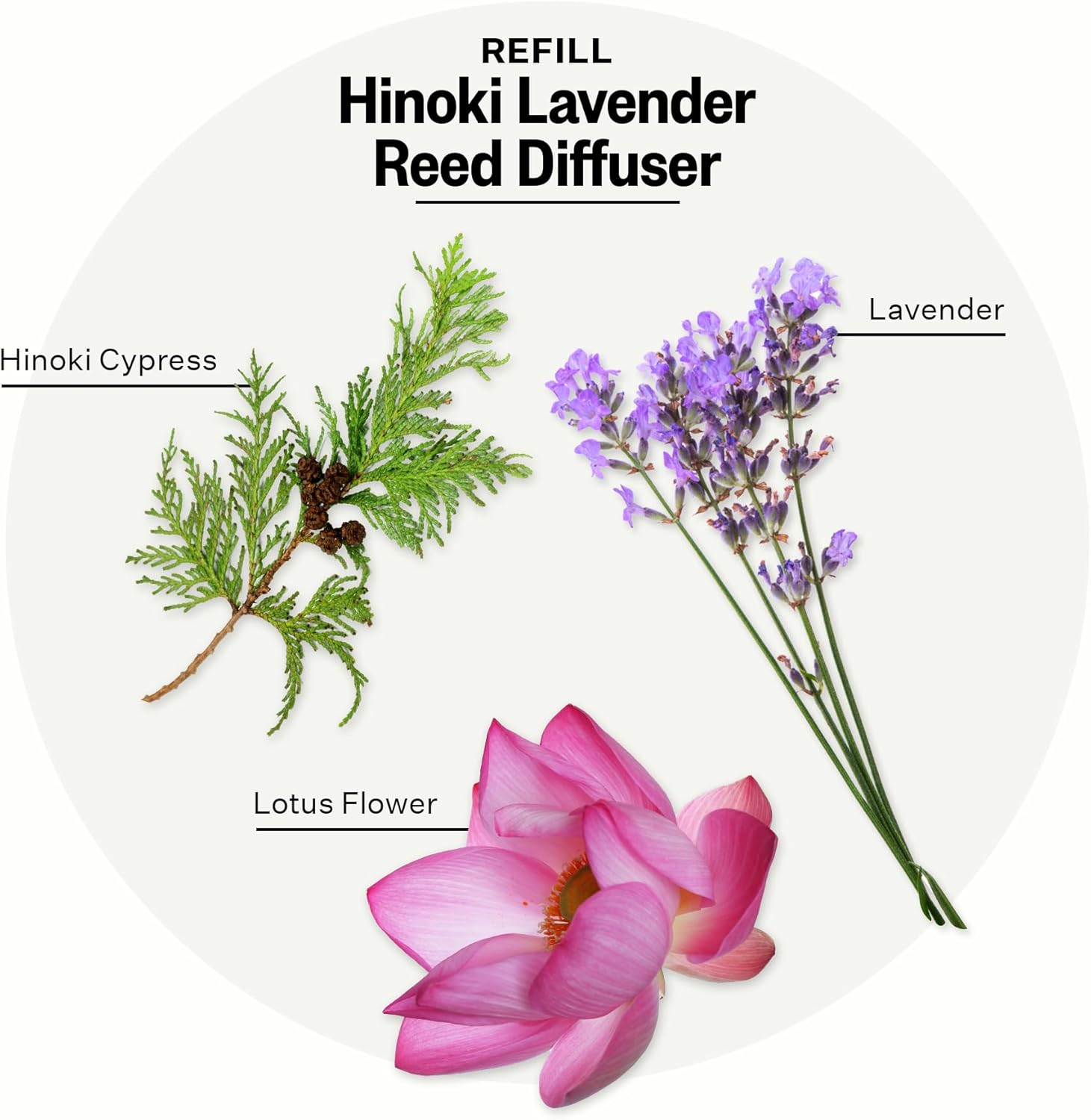Apotheke Hinoki Lavender Reed Diffuser Refill Set
